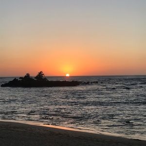 Meet your Posher, Angeleca